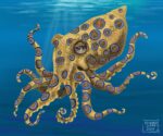 Eight legs Herman
